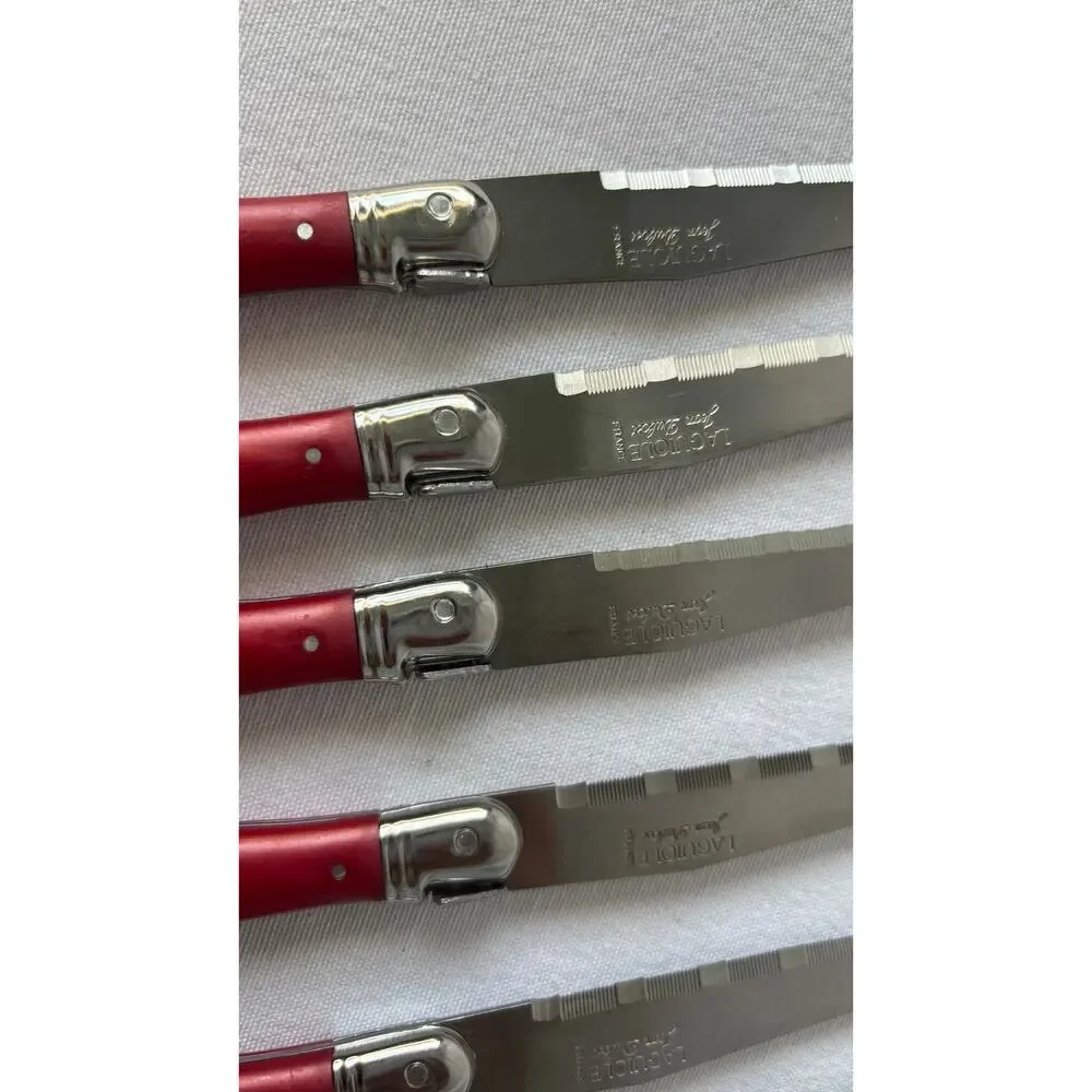 French Modern Laguiole  Stainless Steel Charcoal Gray Resin Steak Knives Set  6